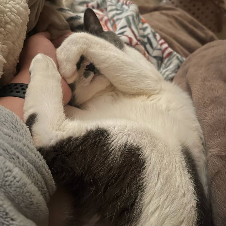 60dfc833 9a77 4bcc 8a6e 5c61460d51b8 1703114441318