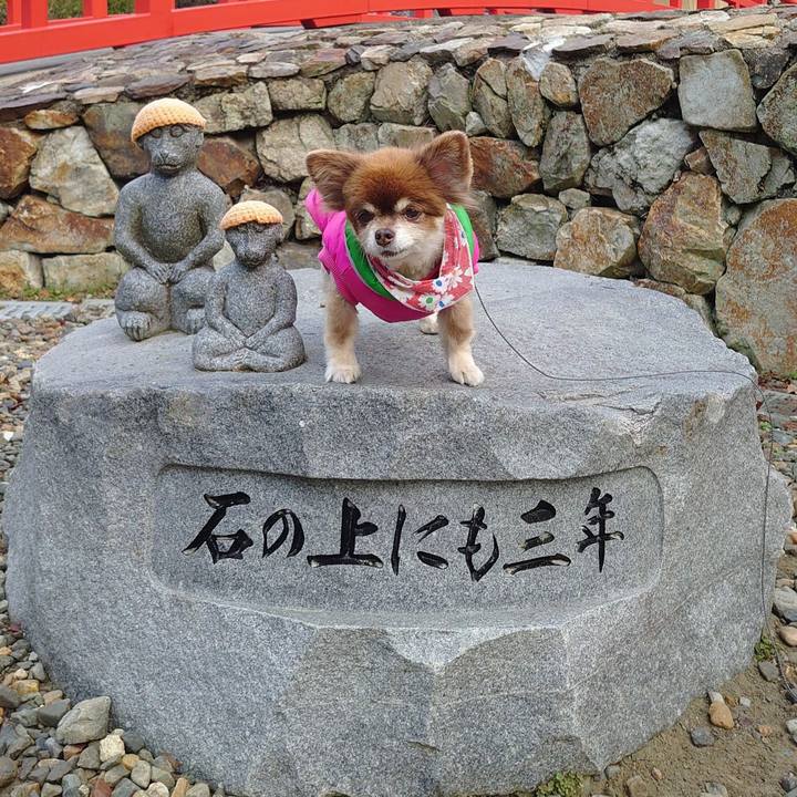 60e0087b 77db 44a7 8d73 c7ad16f1645c 1763423275771