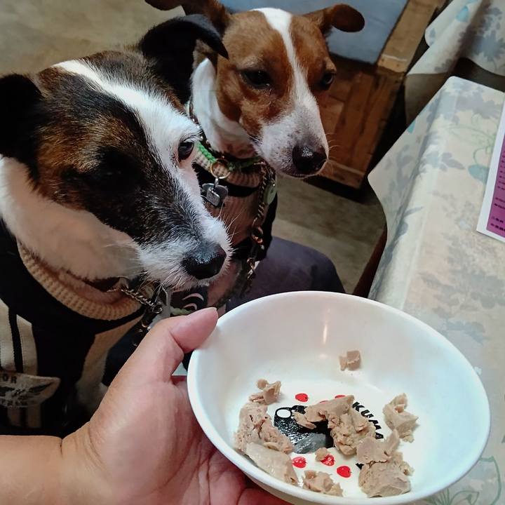 60e025e0 02f9 41cf b7f3 fdd05f0a4610 1651562893341