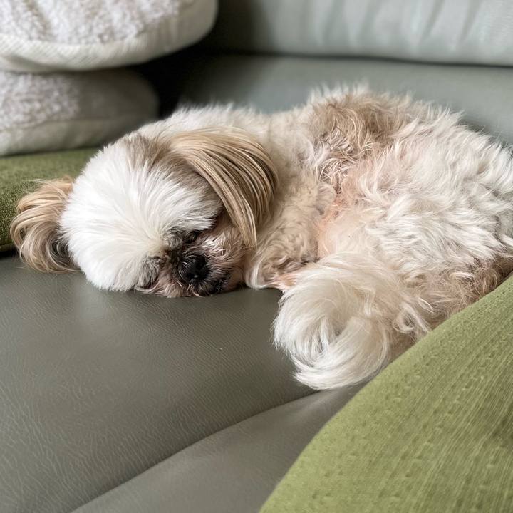 60e03193 478b 4619 b09b 35ad813834cf 1653358432114