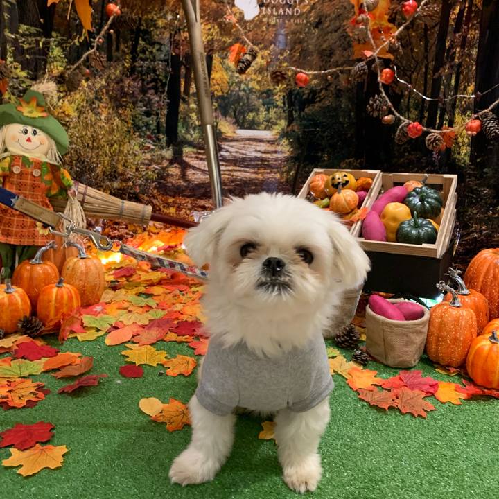 60e03624 d944 40f1 97a3 3c26be00372a 1697114312506