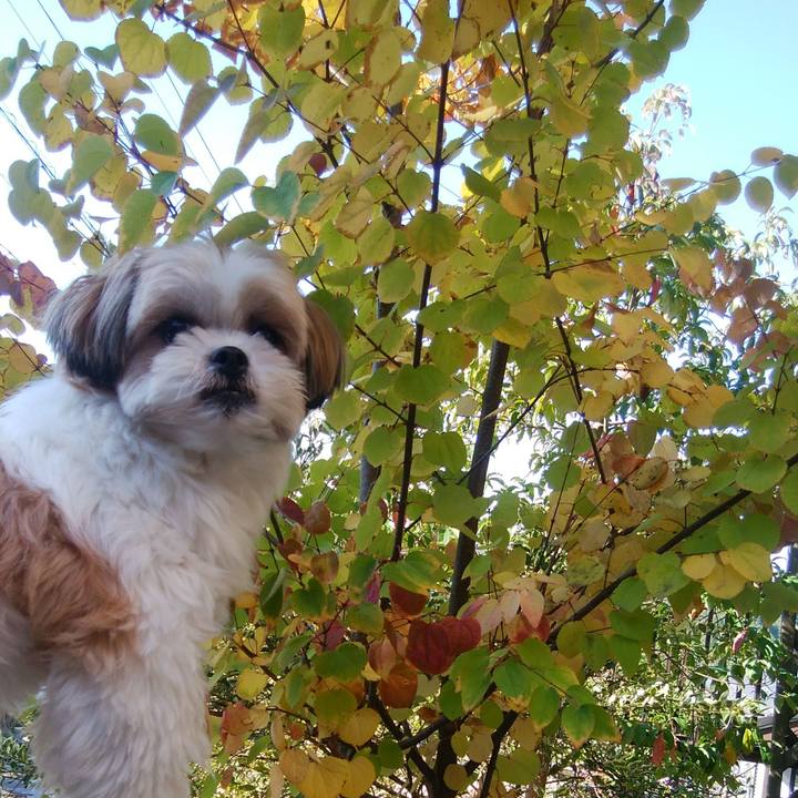 60e08f1f ceb5 4fda b182 24767427468a 1509673123717