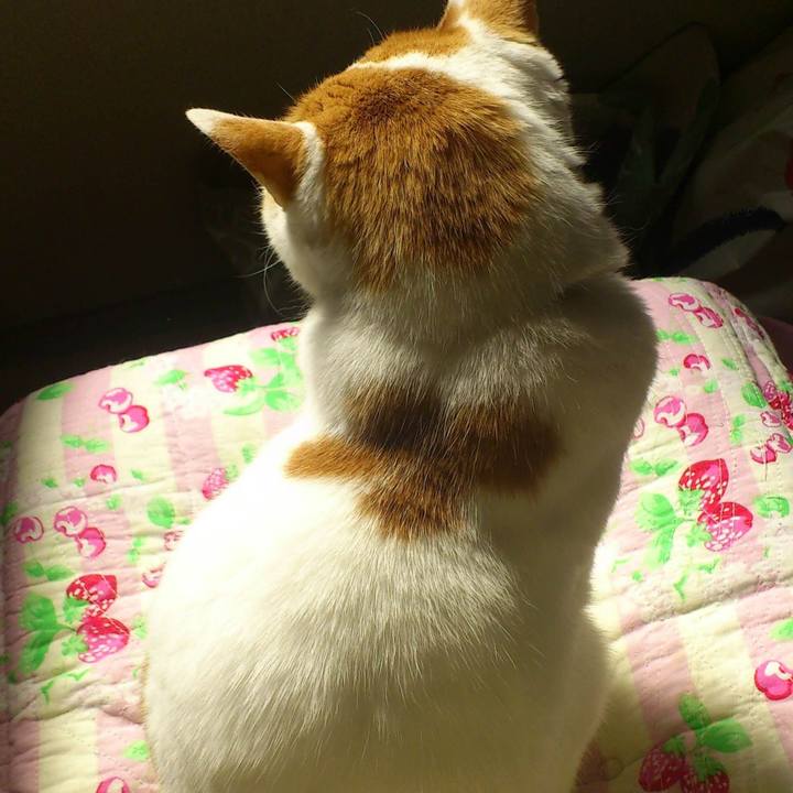 60e0a236 fc2f 4e79 9577 7753220203f1 1636169559597