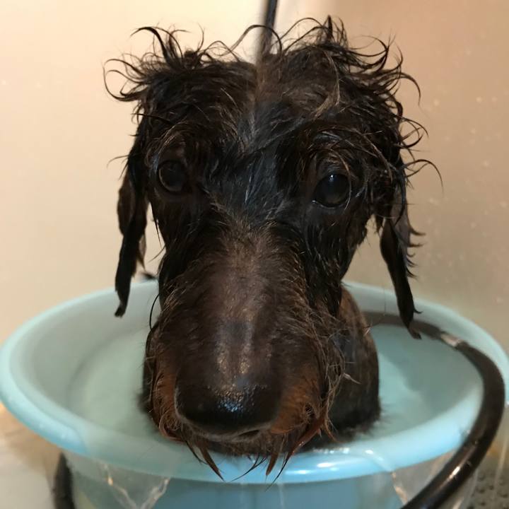 60e0c2fd ef3b 43d0 b8ac 6714d12e4ca8 1544868914000