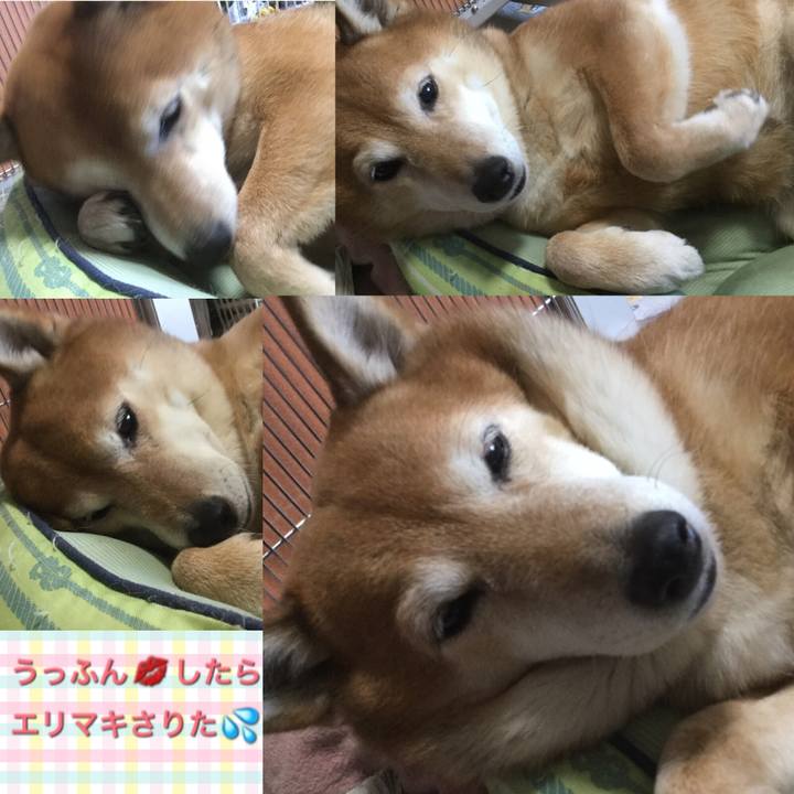 60e0f8c5 967b 40ca 9b1b bb973e4bccd9 1609740670822