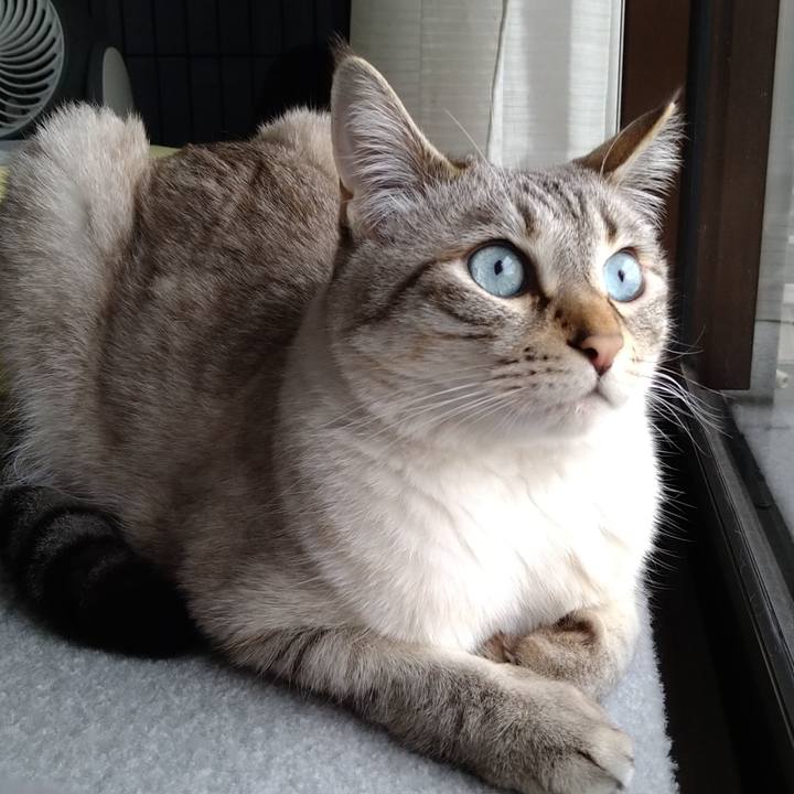 60e0f9c8 264f 455f bfc2 2ceb8ec9b122 1619851513437