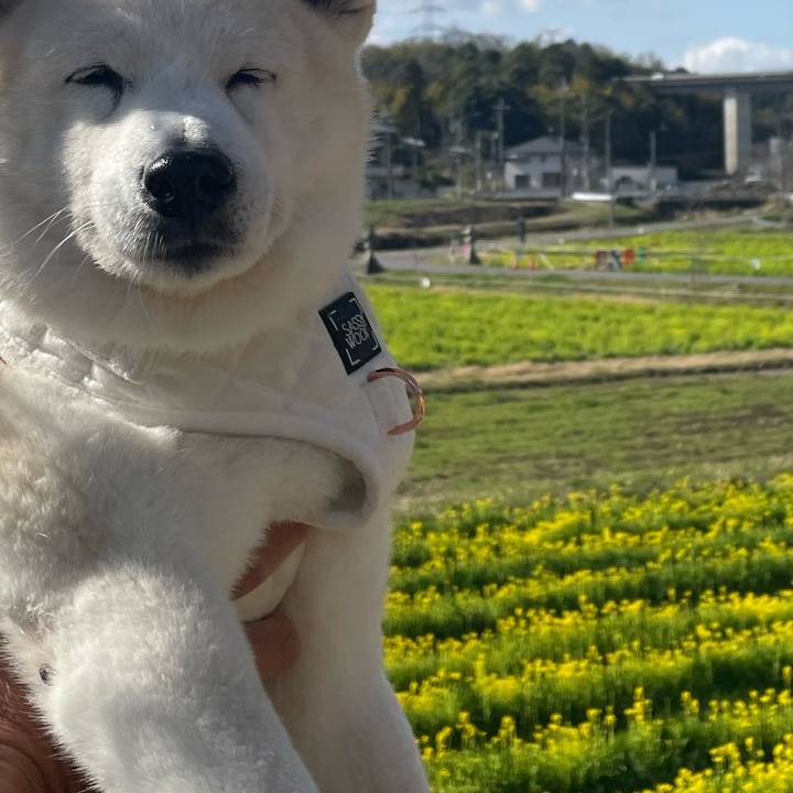 60e1298e d46f 41c9 a21c 153bdbb9bceb 1679205424689