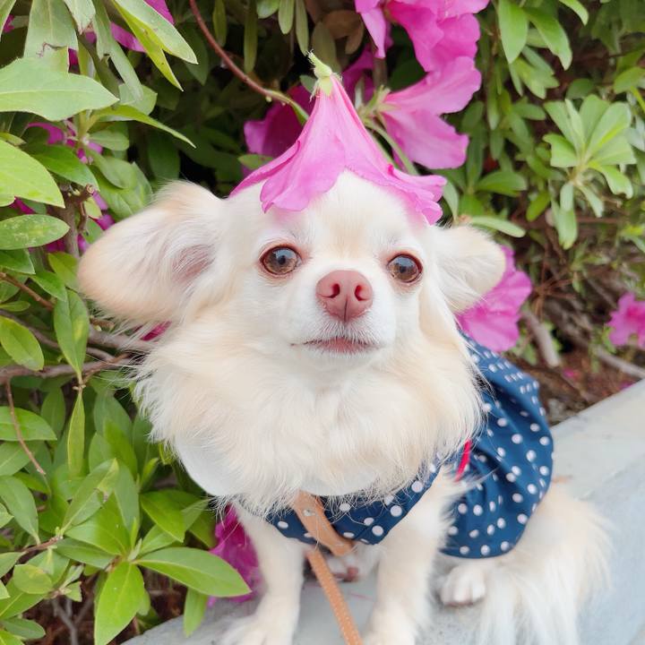 60e15b6a 0c90 4aee 8b67 b1e7c0edc9c1 1714196123587