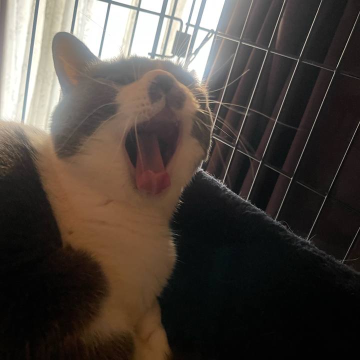 60e16a15 f9e6 487e bd12 d680b15e9ab4 1737674866100