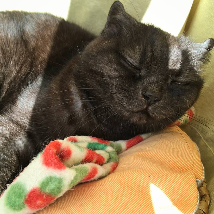 60e18180 61ff 455d 9eab 42a488919828 1584462777245