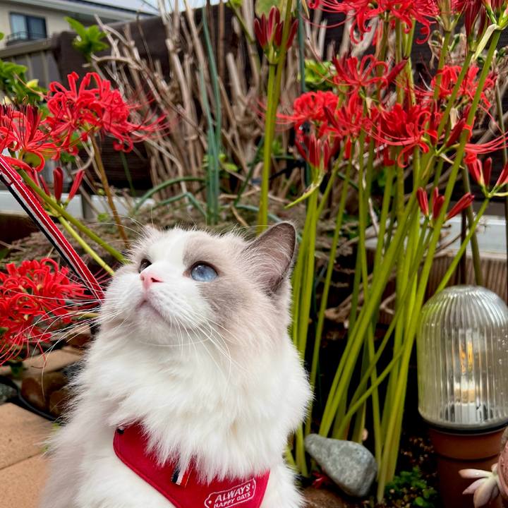 60e1b105 ecb3 4c8d 9a58 dfd62fa990a8 1727603845160