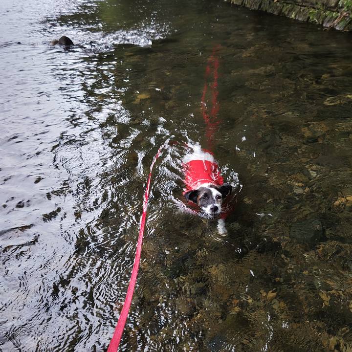 60e1b4f7 8b10 49e2 a966 5bdda663810e 1723956459965