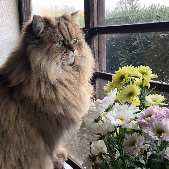 60e1c6f0 b8c9 447a 8549 20c1c0164ad0 1576830461791