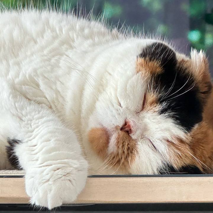 60e1ccd8 b71e 43c4 9c3f c00a9939e590 1719667412919