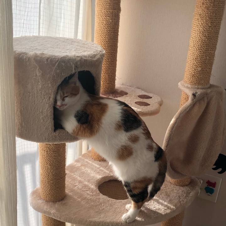 60e1fb16 6c2f 480a 8c3c 892d4ea2ad86 1587203241097