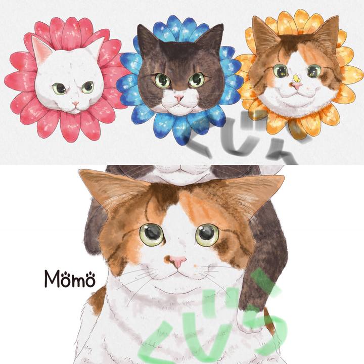 60e21002 4f1e 489e a948 079fed9bd31f 1542808083478