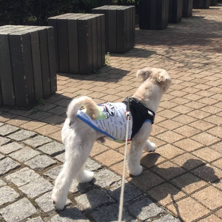 60e21a78 a403 4782 ac7e 6bbd6337121f 1522319005283