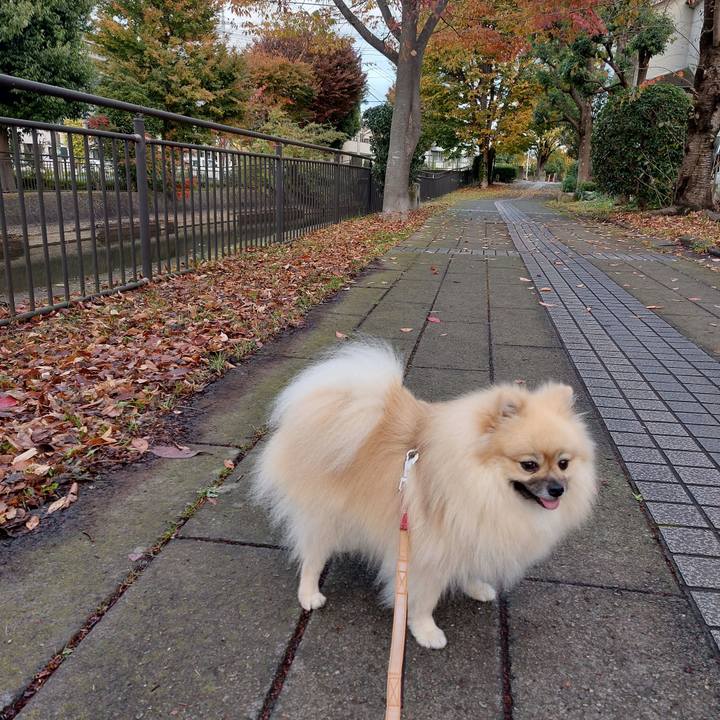 60e232ec b2b0 4f0c 8548 7357fec1d754 1669023703445