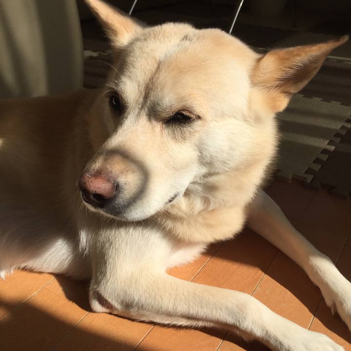 60e23451 a247 4285 b8a5 91e2fa662b98 1511233426251