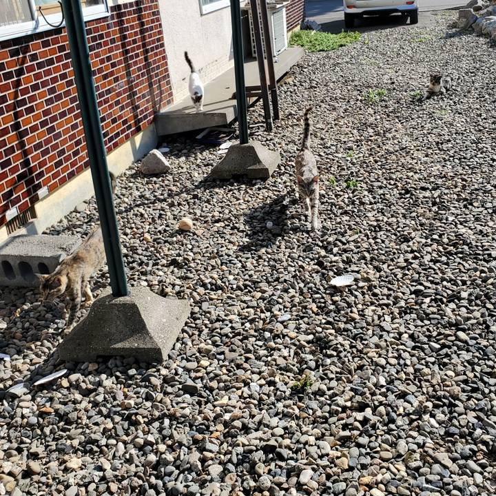 60e236f4 b002 42e3 bae5 2abc14d6436b 1694262563376