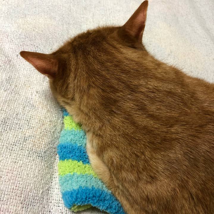 60e238c0 e057 4697 a74b 7d4574214058 1608993647024