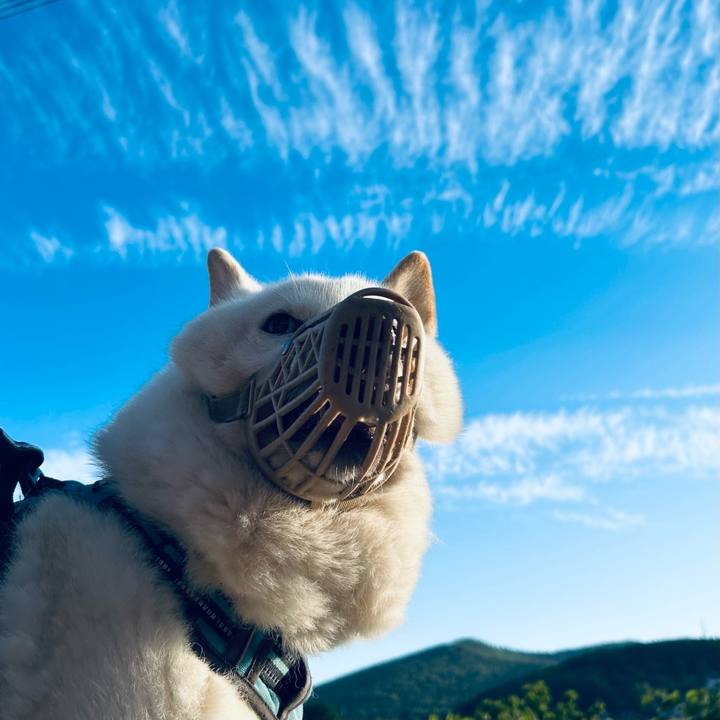 60e2533c 14e4 4714 b640 0f9d377ad499 1751922410595