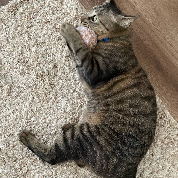 60e25be7 6247 4075 9f76 923800022930 1688184165702