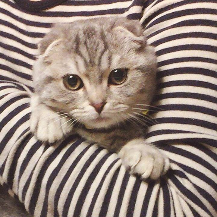 60e2d281 e92f 42e3 a7f4 5c79554b6c77 1586635654099