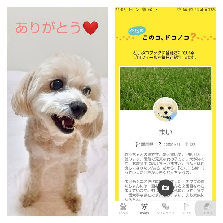 60e2e37b 1347 40de 9176 a0808dc5f18e 1603023237087