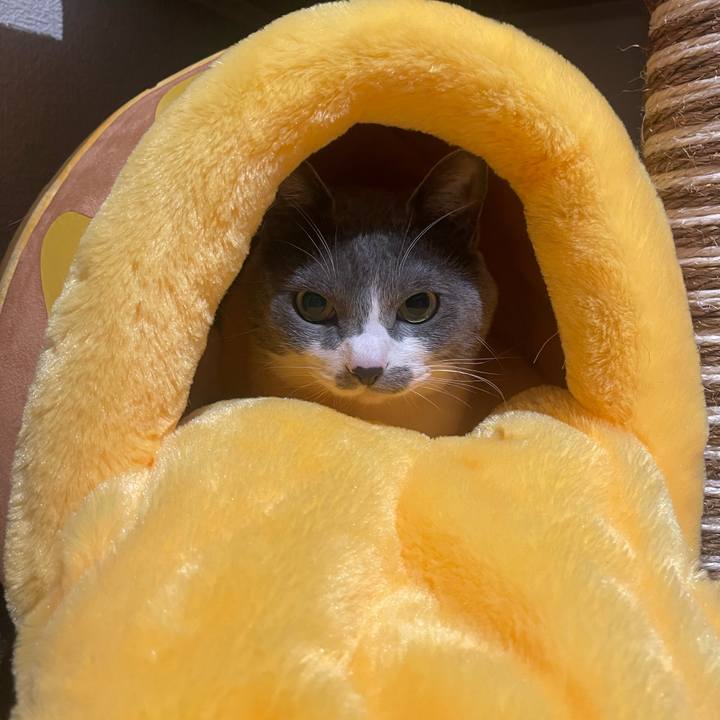 60e331db 00a6 4a37 8bf2 a7026e575cd4 1679560064175