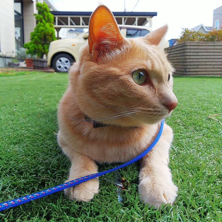 60e34b9e a61b 4846 9bfa 4ae37768905c 1631497663170