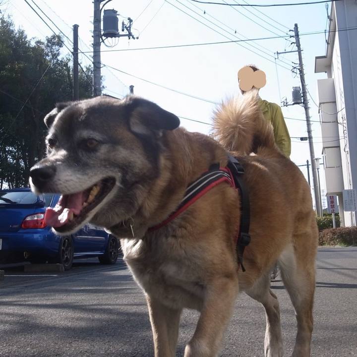 60e430ee e34f 49b9 b6fc ebf3c0d75244 1600127812253