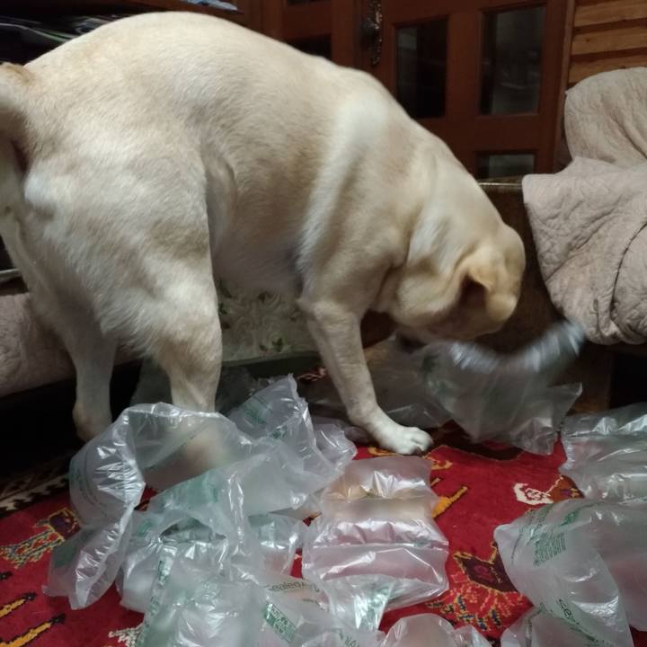 60e43916 44cc 4b5b b3c5 51b46de77164 1574836523532