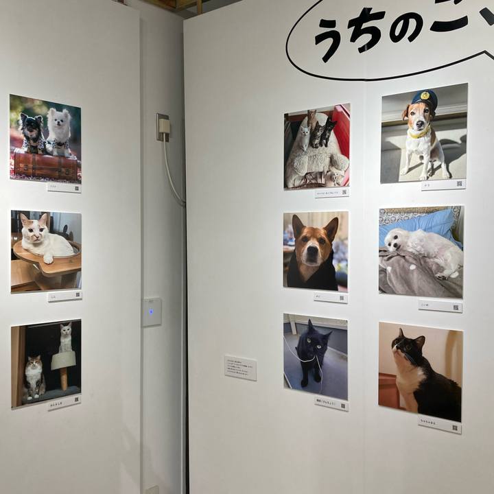 60e445bf da0c 46b5 a8b9 3d501ad98637 1762149974338