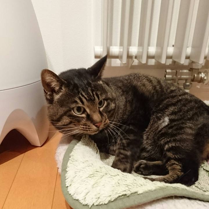 60e446f6 9a6b 455b 9ad9 d17e43df0352 1511397315592