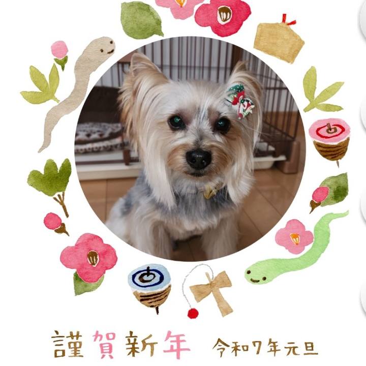 60e48878 f7c7 4267 9175 cf796080c981 1735689504475