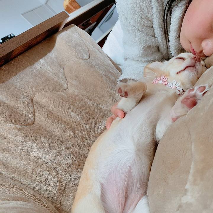 60e4b705 e98f 4d04 bc95 21015bc375ff 1614051644821