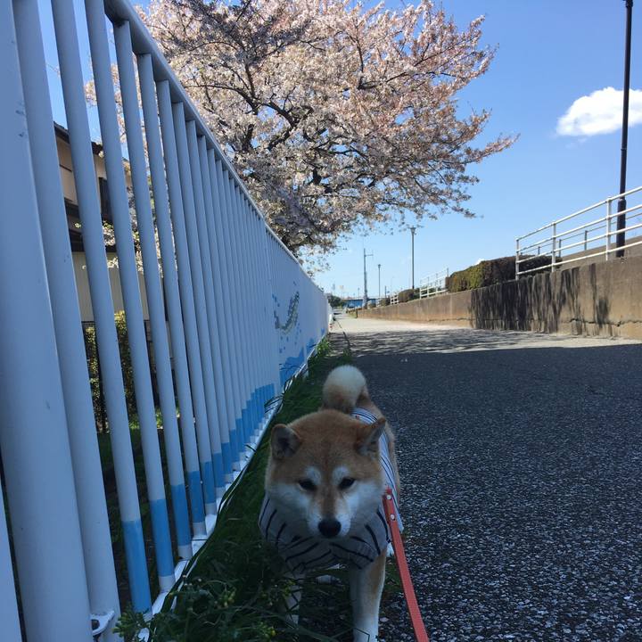 60e4f1ce ec81 4d22 9f59 68d2c2f10432 1554781923907