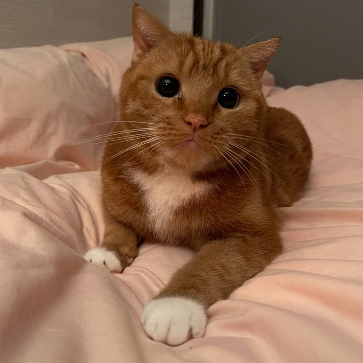 60e526bc db9b 4e9d 8fec 13a7abfb5c10 1607780446137