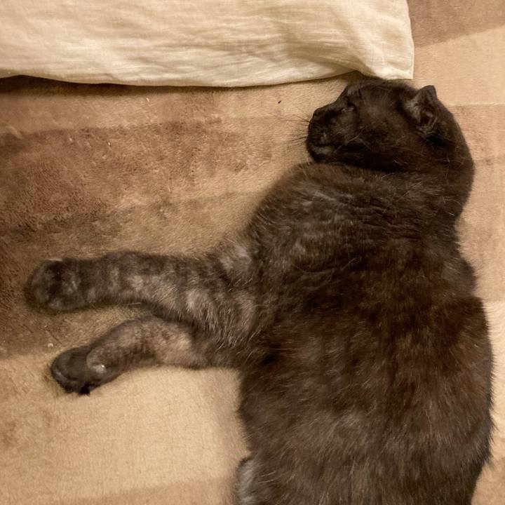 60e56df5 d10c 4acf 959c 28d7f5721a18 1620313559596