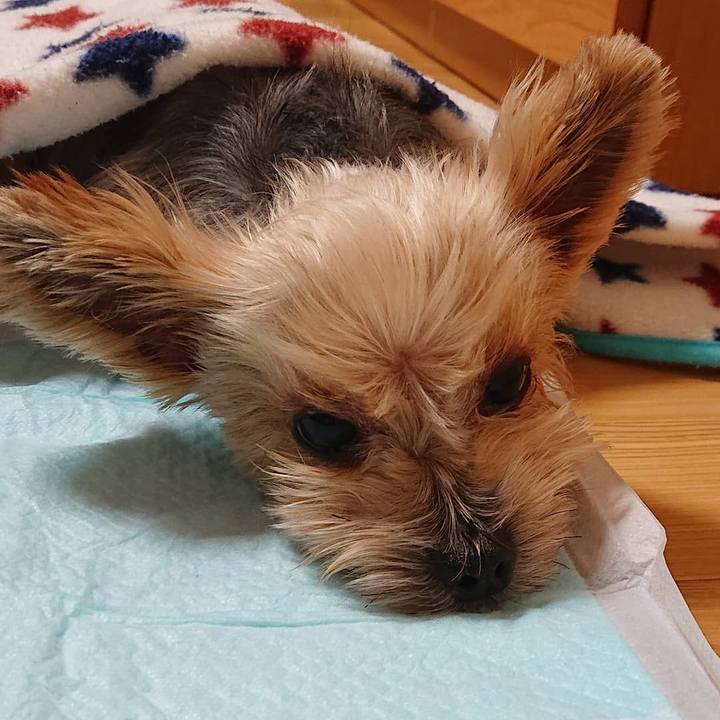 60e58f0c 2324 4371 94e2 a831adb7d4b9 1603022581556