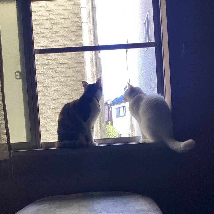 60e5b432 8488 4582 abed 59be4a4cdba8 1675052281651