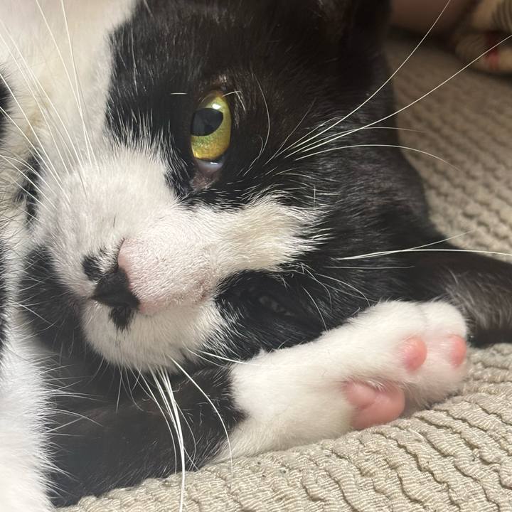 60e5f1b3 fc5d 4c6b beac cb1c803fa98d 1761964354989