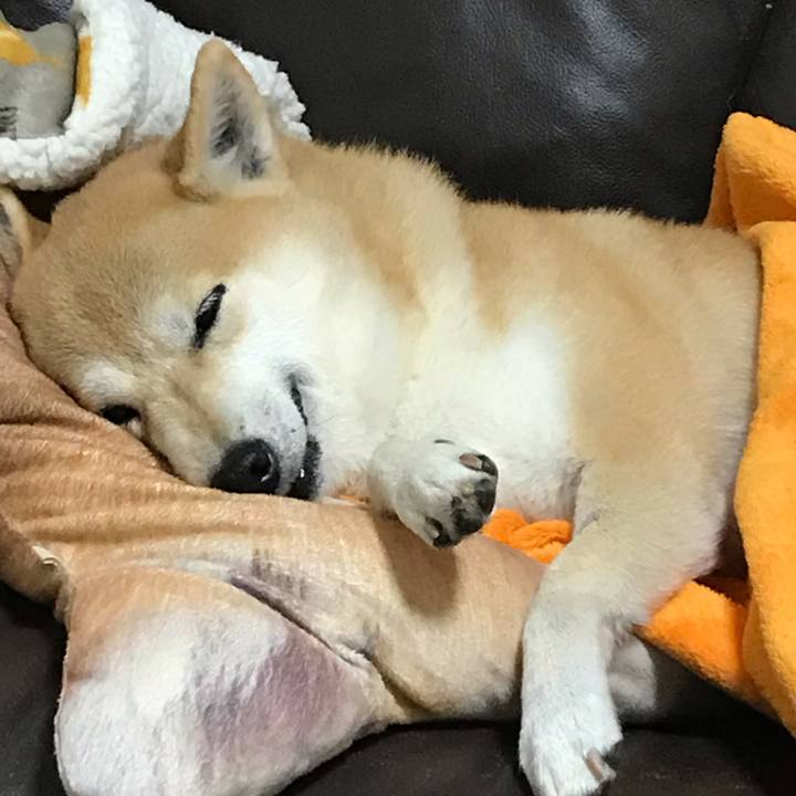 60e6279f 804f 44b2 8f85 7895c644e6f3 1544433538778