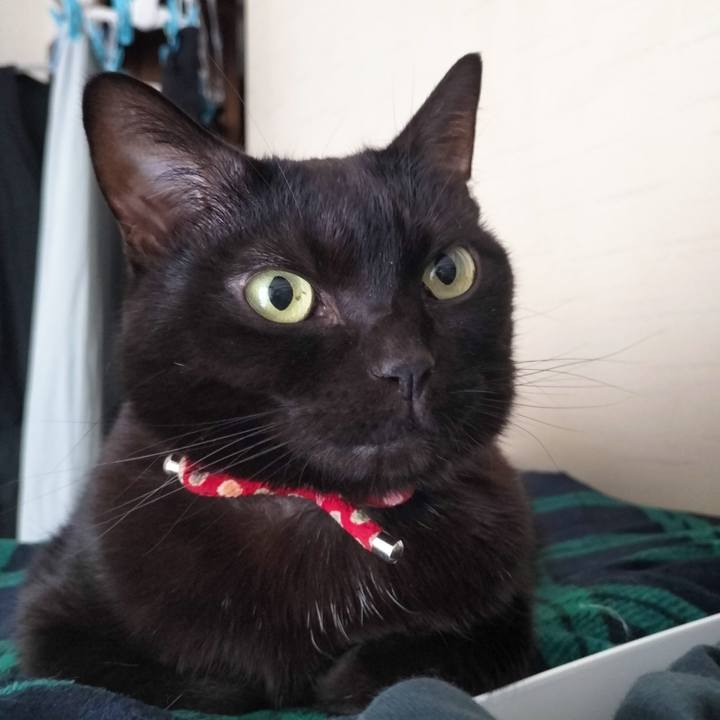 60e65cb2 4adf 4f56 b603 732be41b8af8 1672272265808