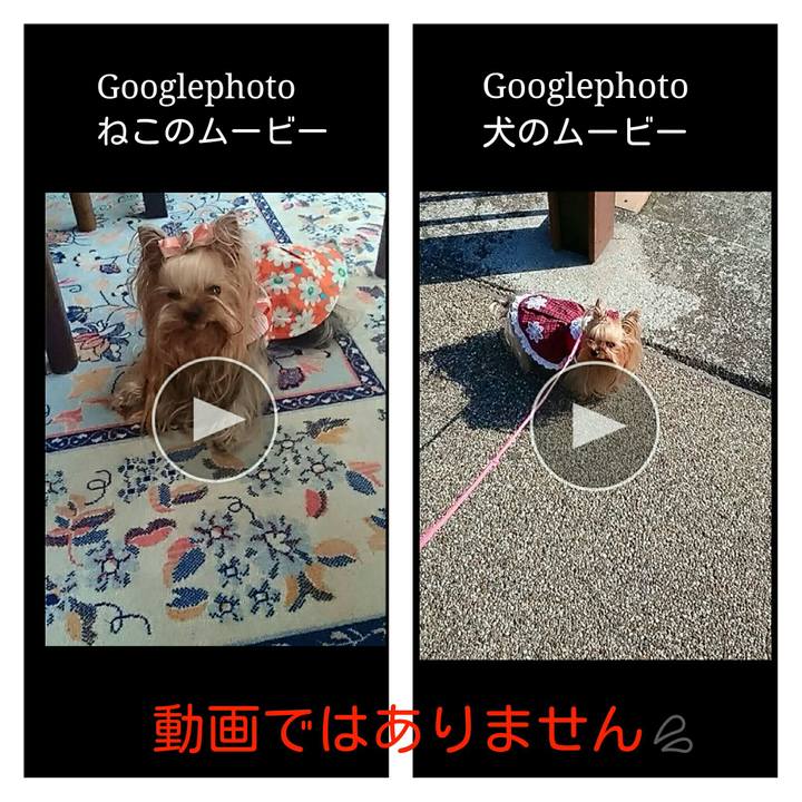 60e6861d 2aff 4392 9e8d 8f0bfe3c1f98 1540077414655