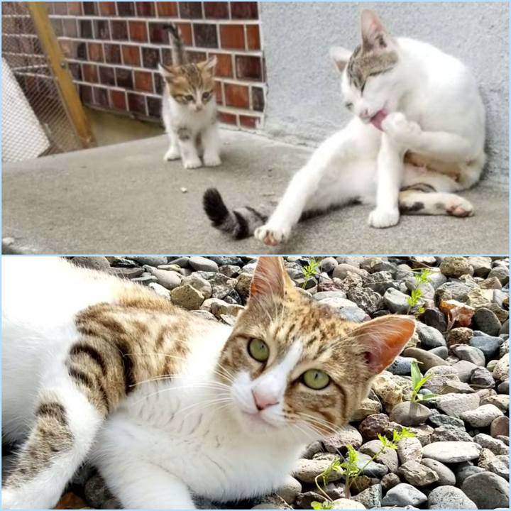 60e68632 23c5 4f80 aeb3 d2c6d5d2080f 1623453131997