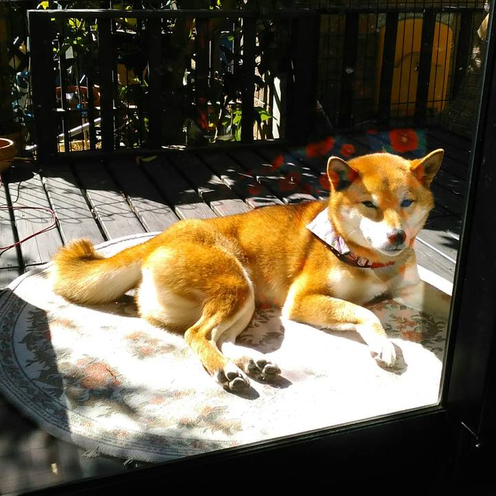 60e6e0e9 4ec5 4d1b b35a ab0cbf022bb8 1519953352013