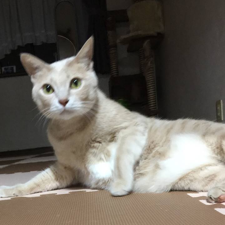 60e70cba 0490 4bea b84a 21164dce6393 1539171683988