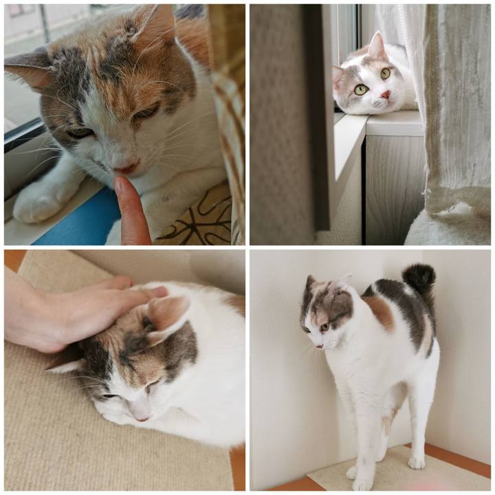 60e7224c 0fda 4e7b b562 0a77b454e3f9 1655695693257